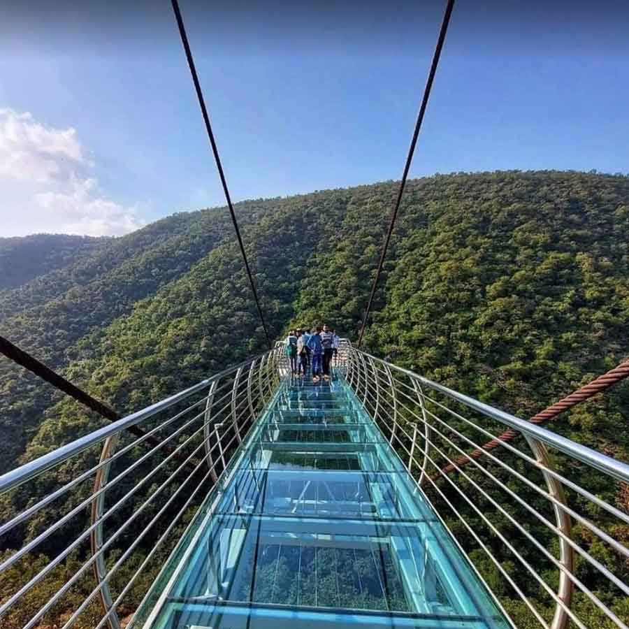 রাজগীরের গ্লাস ব্রিজই এখন নতুন আকর্ষণ।