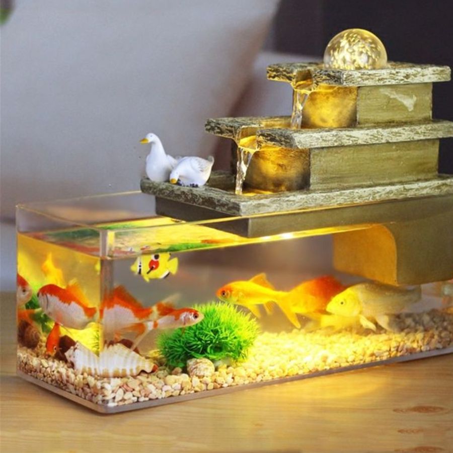 ৯। অ্যাকোয়ারিয়ামে সক্রিয় মাছ রাখা দরকার। মৃত বা অসুস্থ মাছ কখনও দীর্ঘদিন রাখা উচিত নয়।