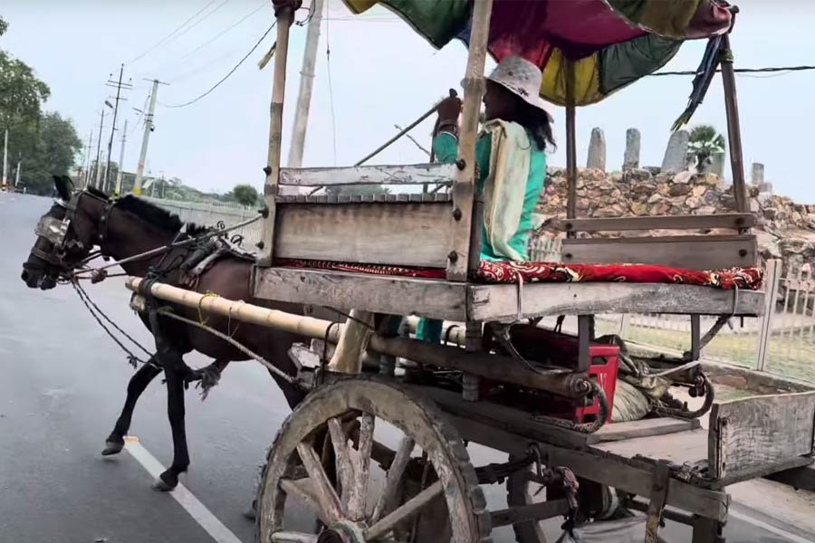 রাজগীরে এখনও চলে টাঙ্গা।