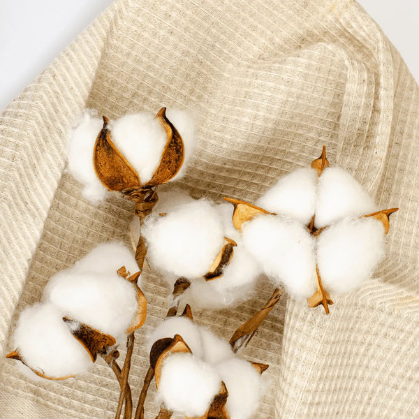 সঠিক পোশাক নির্বাচন: সুতির মতো হালকা ও বাতাস চলাচলে সহায়ক, এমন কাপড়ের পোশাক পরুন। সিন্থেটিক বা ভারী পোশাক শরীরে ঘাম আটকে দেয়, যা ব্রণ ও র‍্যাশ হওয়ার ঝুঁকি বাড়ায়।