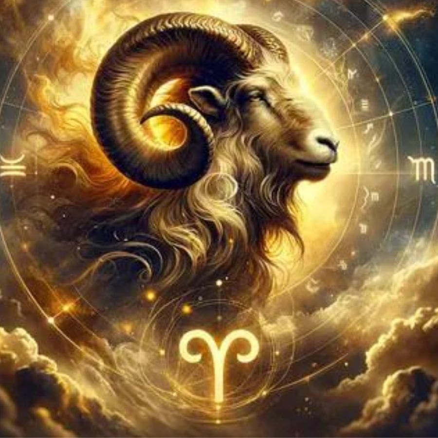 ৪। তবে এর অন্য আরও একটি দিক হল, মেষ রাশির মানুষের মধ্যে অতিরিক্ত পরিমাণে আগলে রাখার প্রবণতা দেখা দেয়। এঁরা তাঁদের পছন্দের মানুষটির জন্য তর্কের যে কোনও শিখরে পৌঁছে যেতে পারেন। তবে কারও সম্পর্কে দীর্ঘদিন রাগ পুষে রাখার পাত্র নয় এই রাশি।