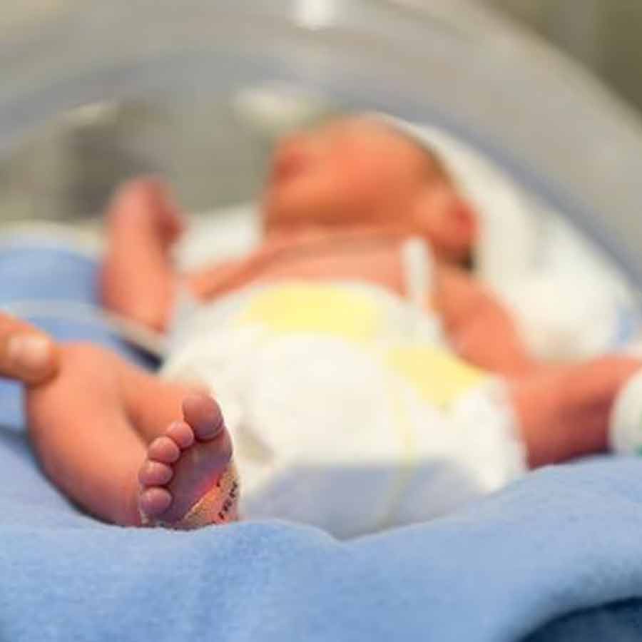 NHRC sends notice to Madhya Pradesh Health Department on Rat attack issue in hospital dgtl