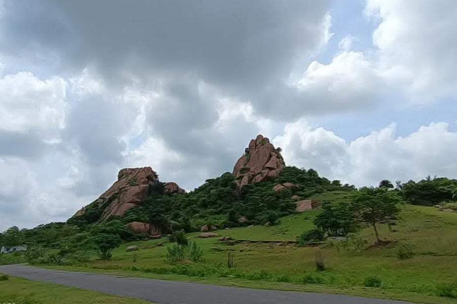 এ বছরের টানা বর্ষায় পাহাড় সবুজ। পুজোতেও রয়ে যাবে এই শ্যামলিমা।