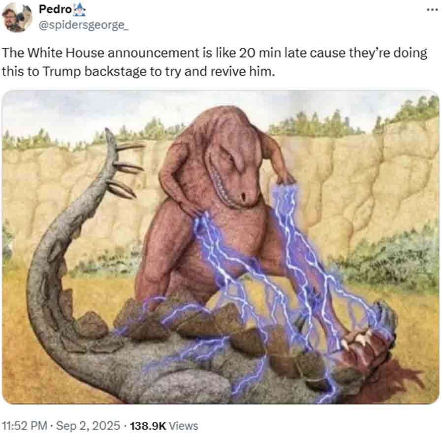 সমাজমাধ্যমে ছড়িয়ে পড়া সেই ব্যঙ্গাত্মক পোস্ট। 