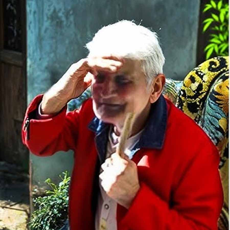 ভেজ়িলেকে নামিয়ে দিয়েই গাড়িটি সেখান থেকে চলে যায়। গাড়িটির রেজি়স্ট্রেশন নম্বর পর্যন্ত লক্ষ করতে পারেননি ভেজ়িলের সন্তানেরা। বৃদ্ধের পরিচয় জেনে অবাক হয়ে যান তাঁরা। বৃদ্ধ জানান, তাঁর নাম ভেজ়িলে।