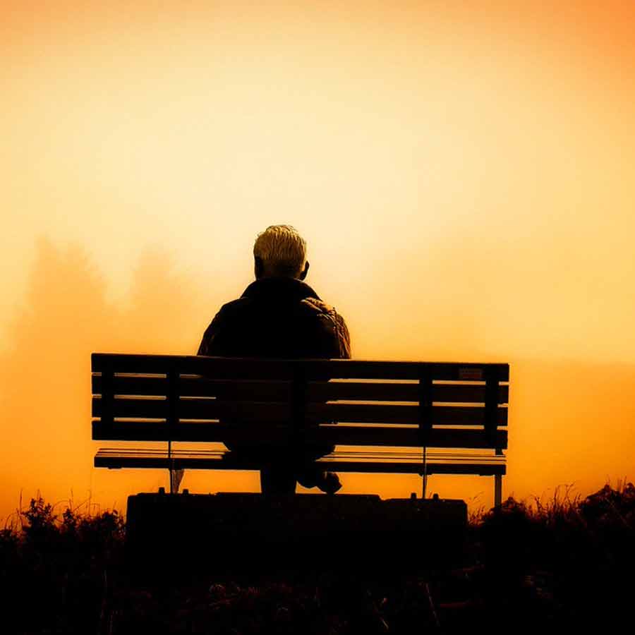 স্থানীয়দের একাংশের দাবি, ভেজ়িলের সঙ্গে রিপ ভ্যান উইঙ্কলের গল্পের মিল খুঁজে পেয়েছেন তাঁরা। অনেকের দাবি, ভেজ়়িলে হলেন বাস্তবের ‘রিপ ভ্যান উইঙ্কল’।