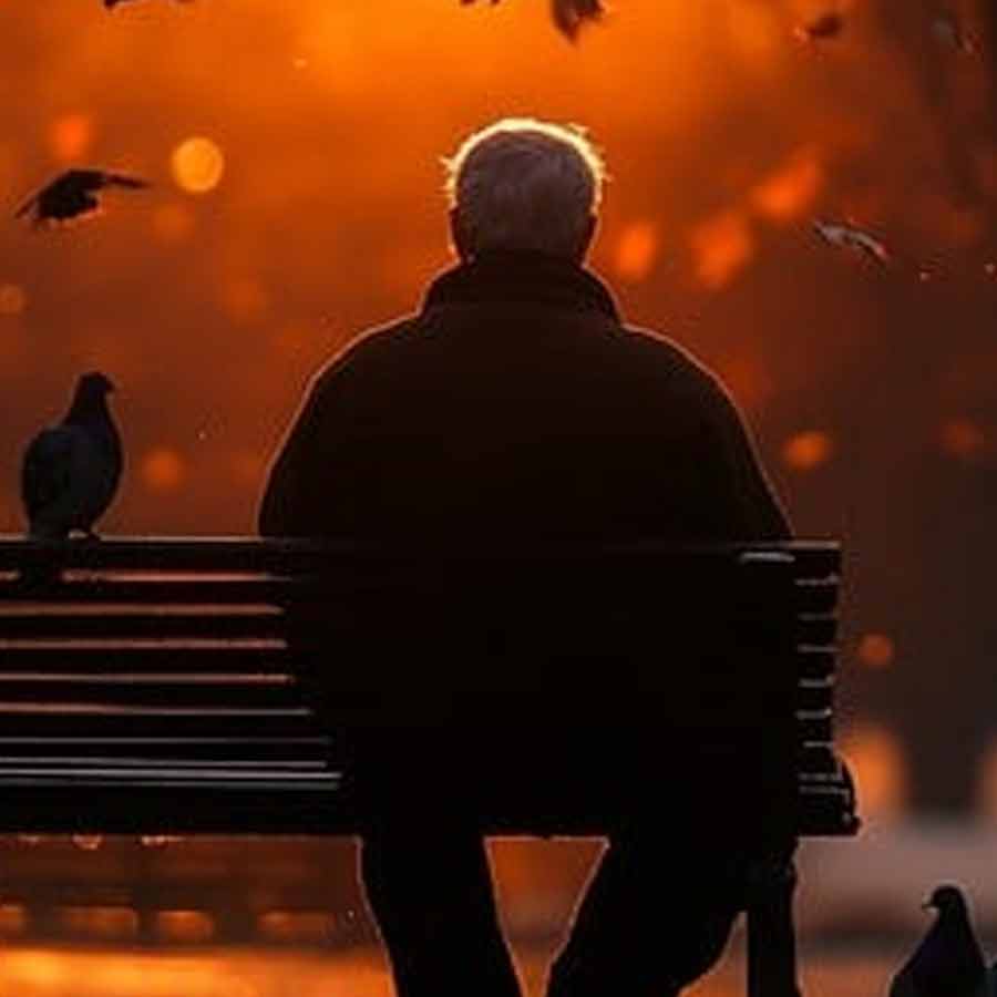 ১৮১৯ সালে ‘রিপ ভ্যান উইঙ্কল’ নামের একটি ছোট গল্প লিখেছিলেন ওয়াশিংটন আর্ভিং। এই গল্পে রিপ ভ্যান উইঙ্কল নামের এক তরুণ ছিল। স্ত্রীকে ছেড়ে কুকুরকে সঙ্গী করে পাহাড়ে চলে যায় সে। সেখানে গিয়ে ক্লান্ত হয়ে ঘুমিয়ে পড়ে রিপ।