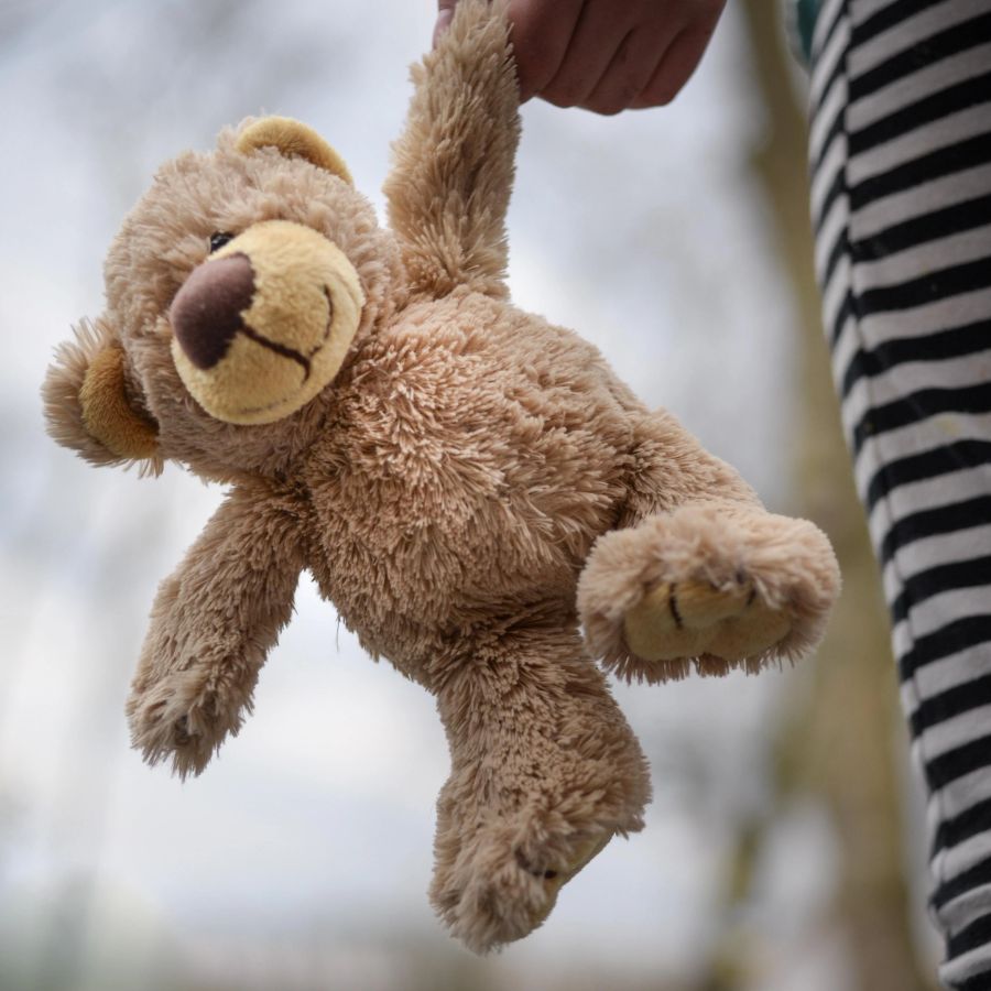 ৫। তবে সব নরম পুতুল কিন্তু জলে ধোওয়ার উপযুক্ত হয় না। কিছু কিছু পুতুলের মধ্যে ব্যাটারি অথবা কোনও ইলেক্ট্রনিক্সের যন্ত্রাংশ ভরা থাকে। জলে সেগুলি খারাপ হয়ে যাওয়ার আশঙ্কা থাকে। 