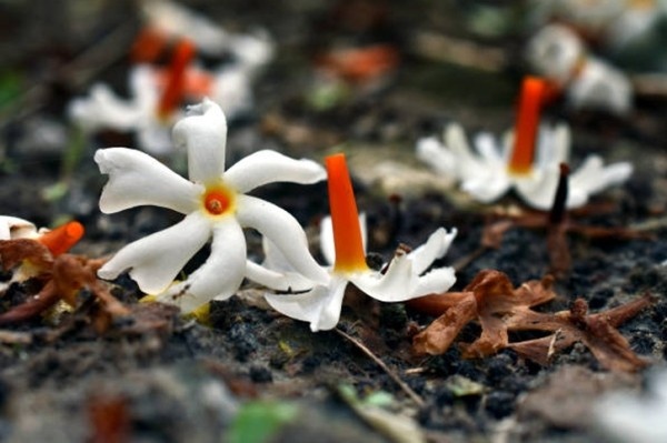 প্রতীকী চিত্র।