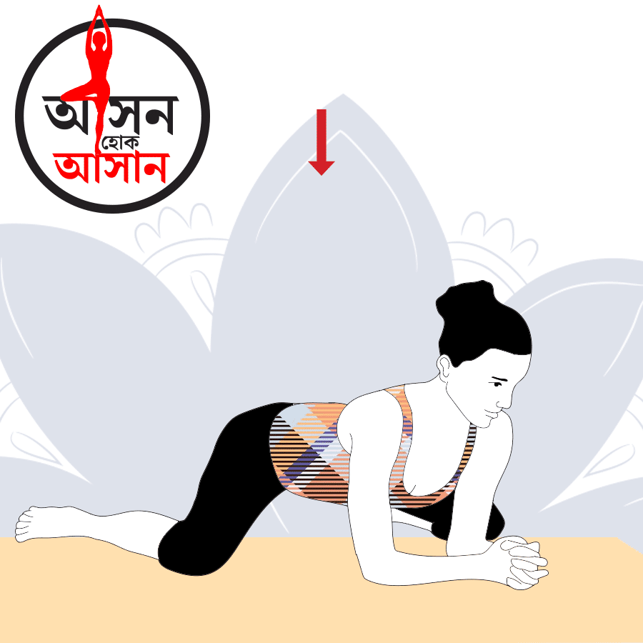 What are the health benefits of Frog Pose