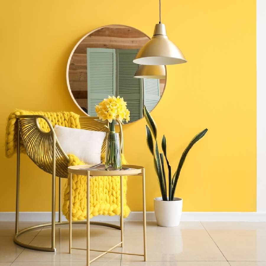 ছবি: সংগৃহীত।