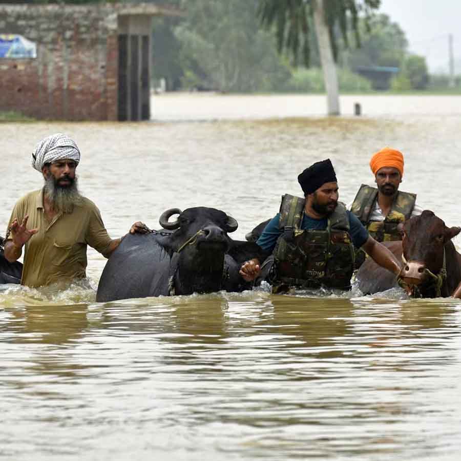 Delhi, Punjab, and Haryana flood due to heavy rain and rising water levels in the Yamuna River dgtl