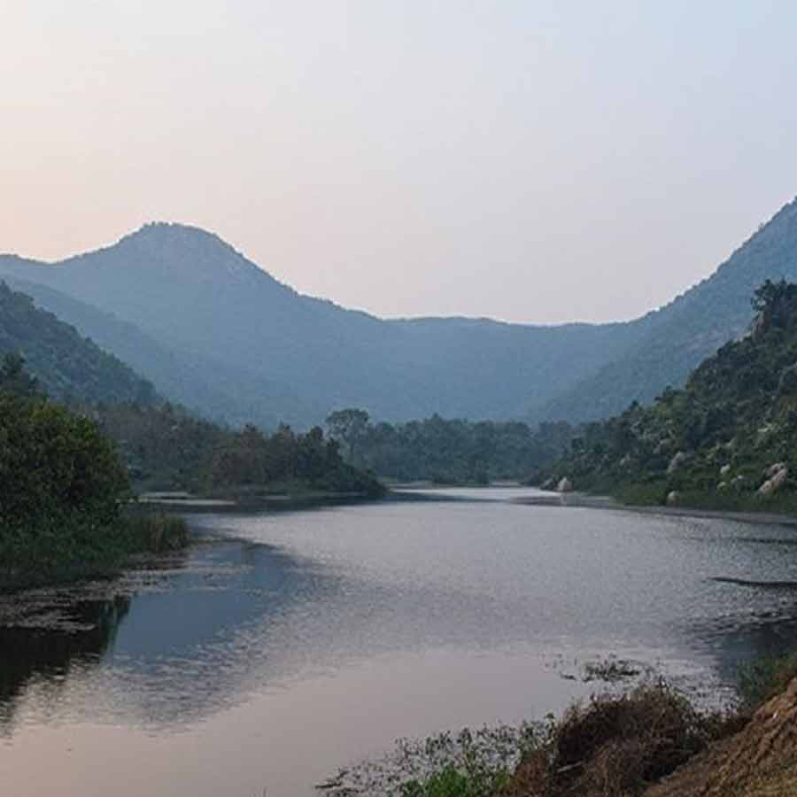 এখান দিয়ে বয়ে গিয়েছে সাতগুড়ুম নদী।