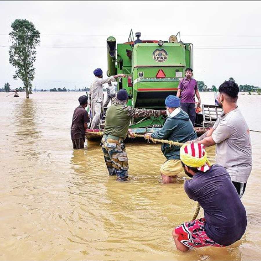 Relief camps flooded as Yamuna flows over danger mark, heavy rainfall affects Delhi-NCR, Punjab dgtl