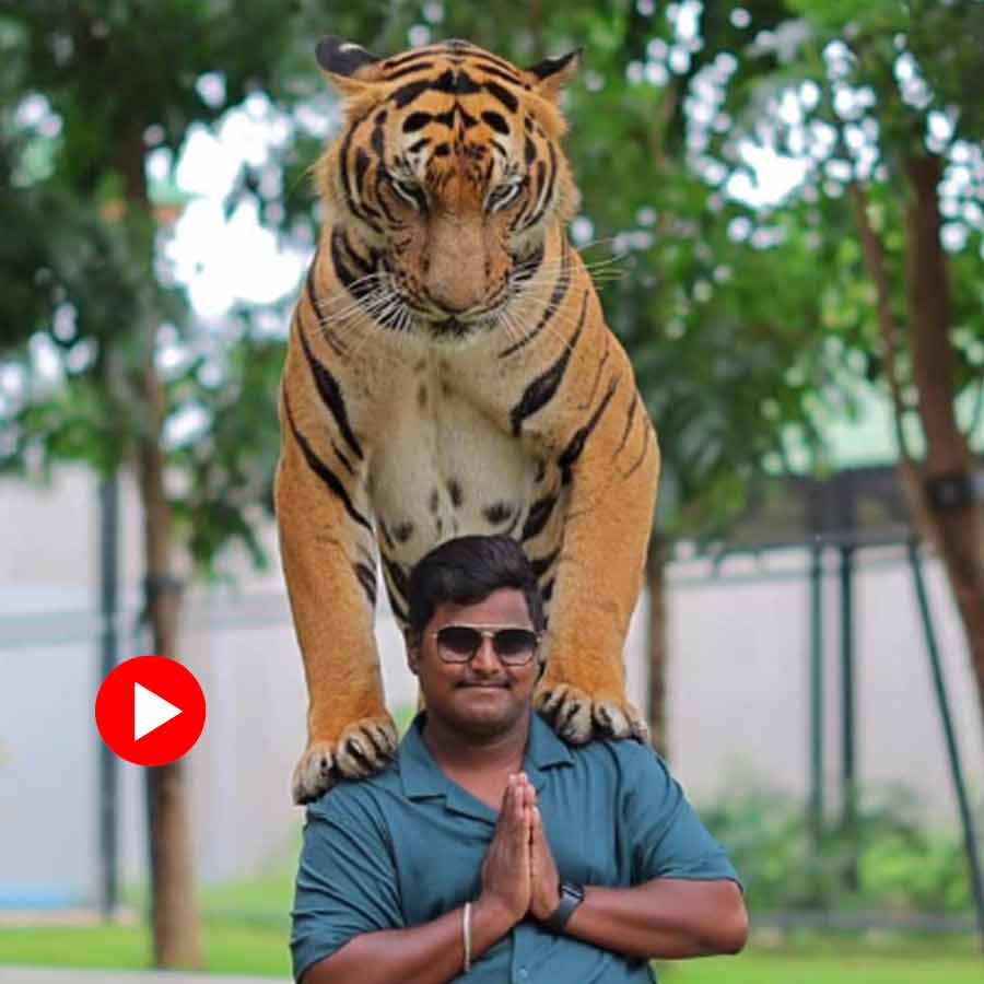 Indian tourist  kept a tiger on his shoulder