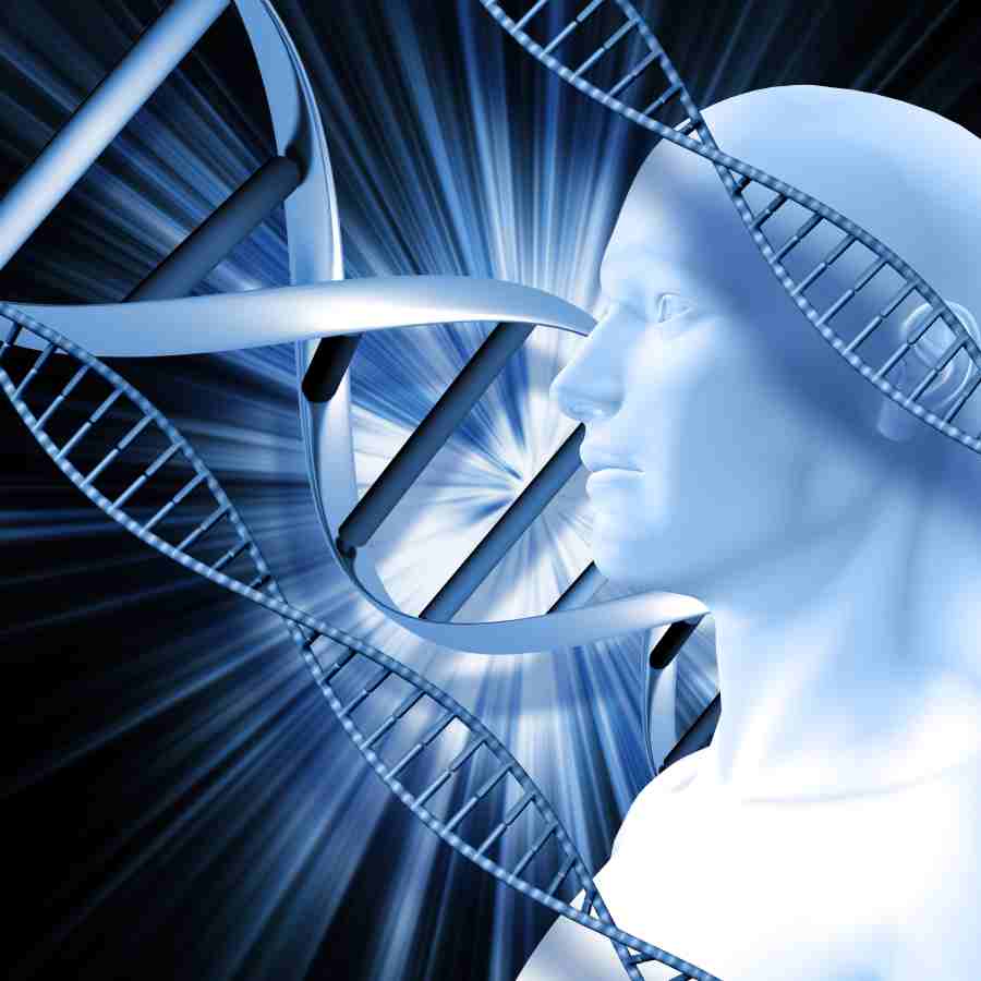 Scientists suggests ancient Gene Uricase roughly 20 to 29 million years ago could cure Gout