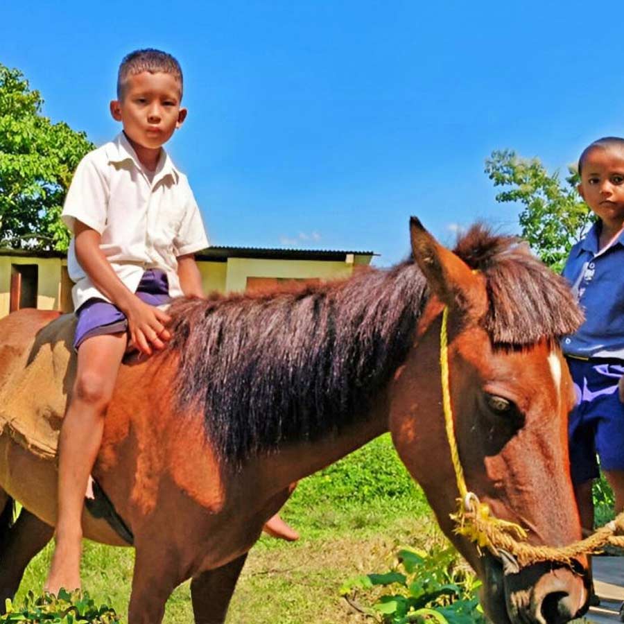 Assam's 'Yuvaraj' rides to school on horseback went viral on Social Media