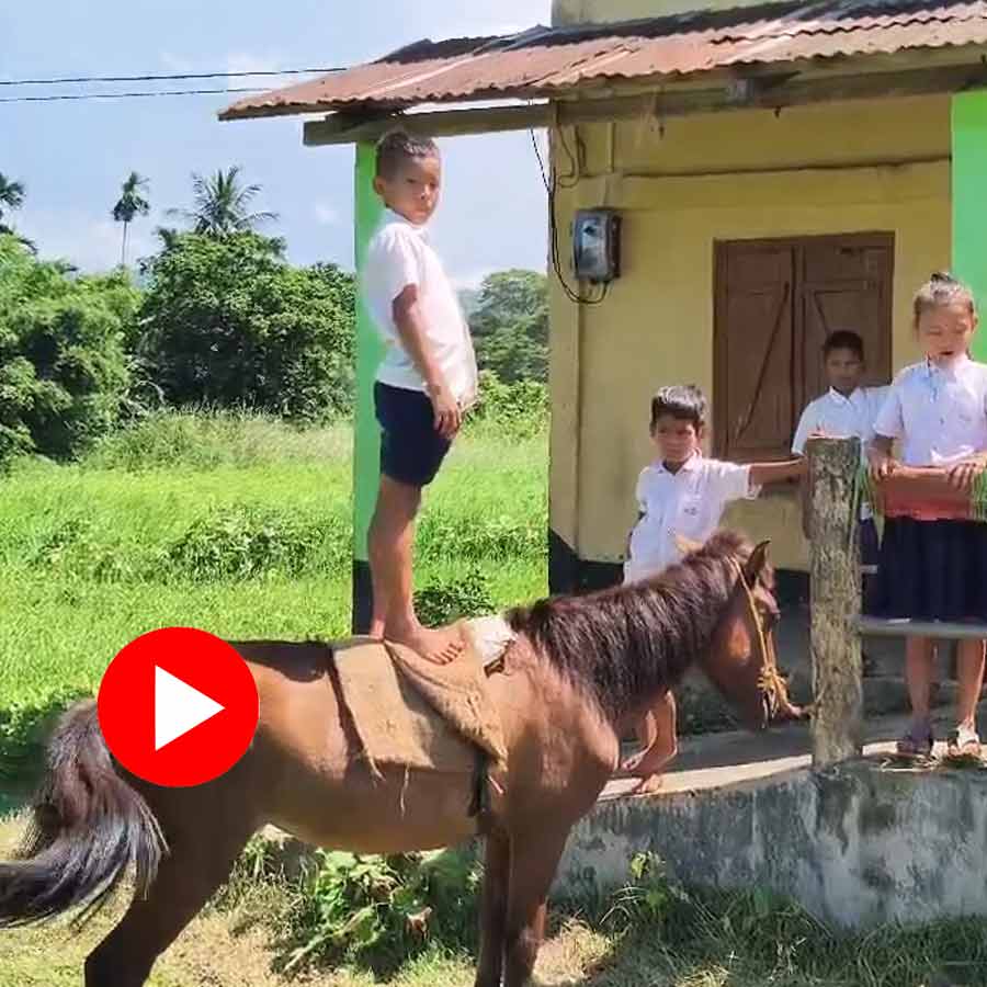 a class three student has been riding to school on horseback