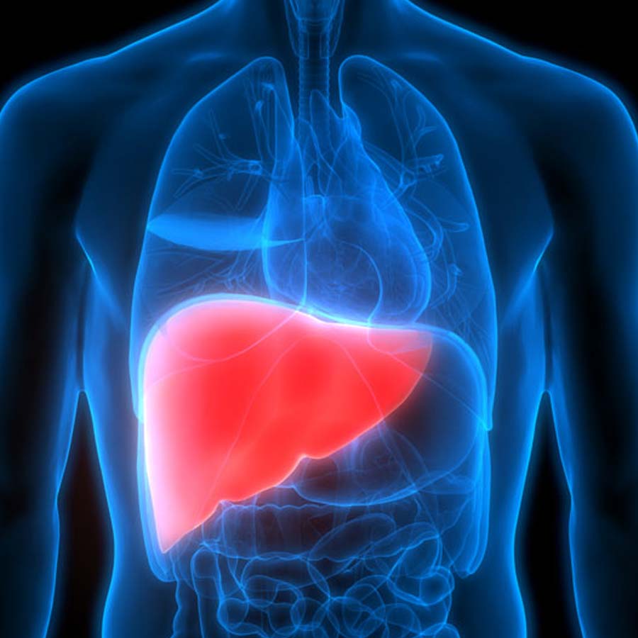 Russian President Vladimir Putin may get immortality through organ transplantation