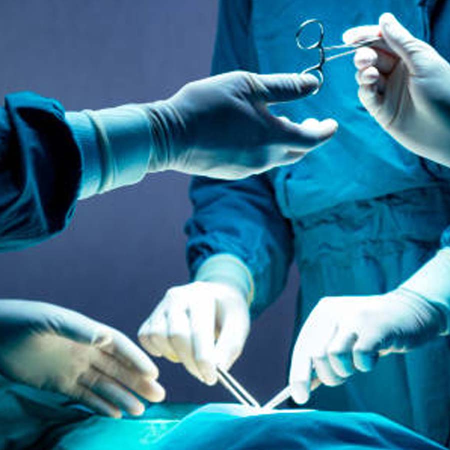 Russian President Vladimir Putin may get immortality through organ transplantation