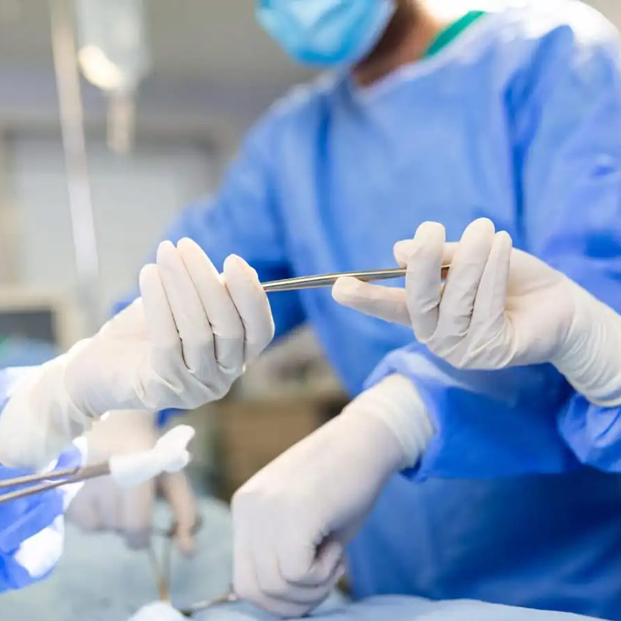 Russian President Vladimir Putin may get immortality through organ transplantation