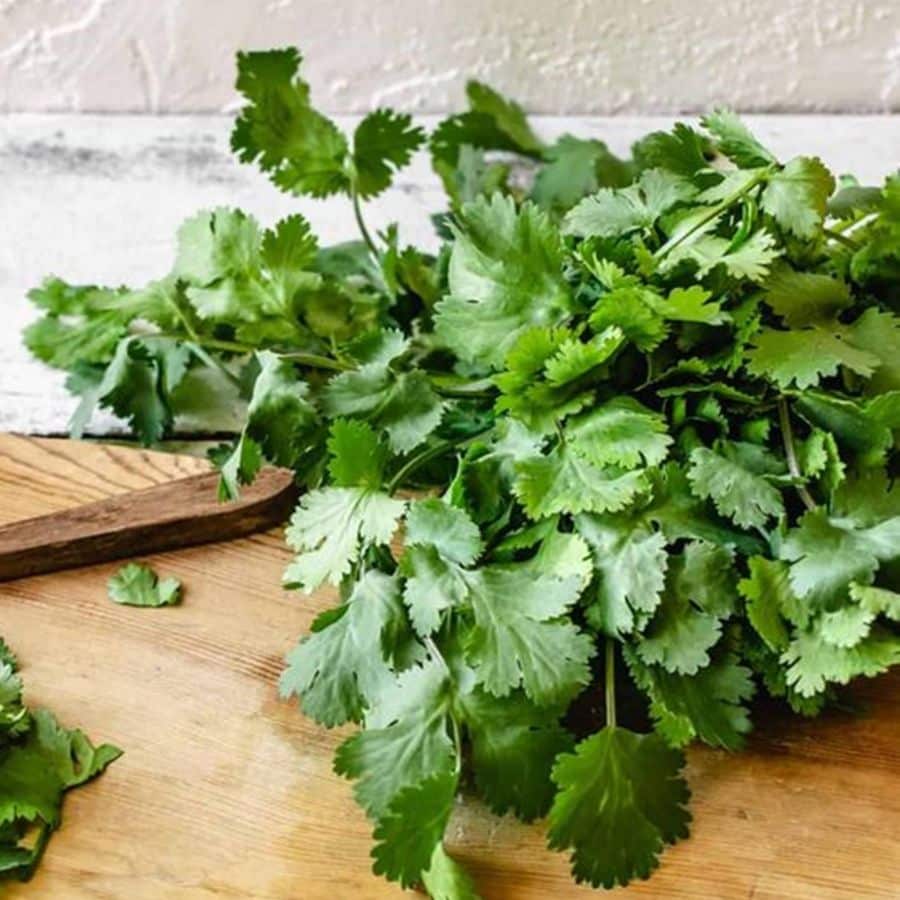 চাল যত ক্ষণ সেদ্ধ হচ্ছে তত ক্ষণে একটি কাজ সেরে ফেলুন। কষিয়ে রাখা মাংসে দিয়ে দিন ধনে পাতা এবং গরম মশলা। 