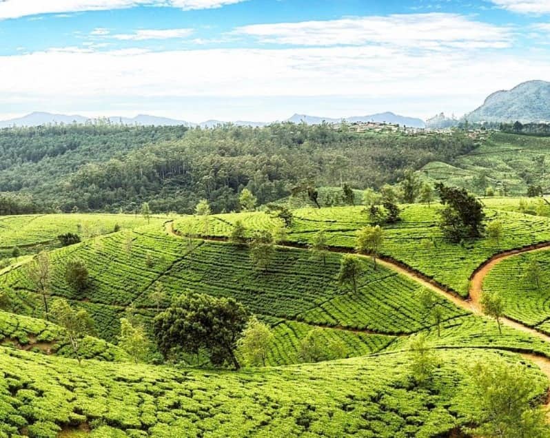 আনুমানিক খরচ: বিমান ভাড়া বাদ দিয়ে জনপ্রতি ৩০,০০০ থেকে ৪০,০০০ টাকার মধ্যে একটি ১০ দিনের ট্রিপ প্ল্যান করা যেতে পারে।