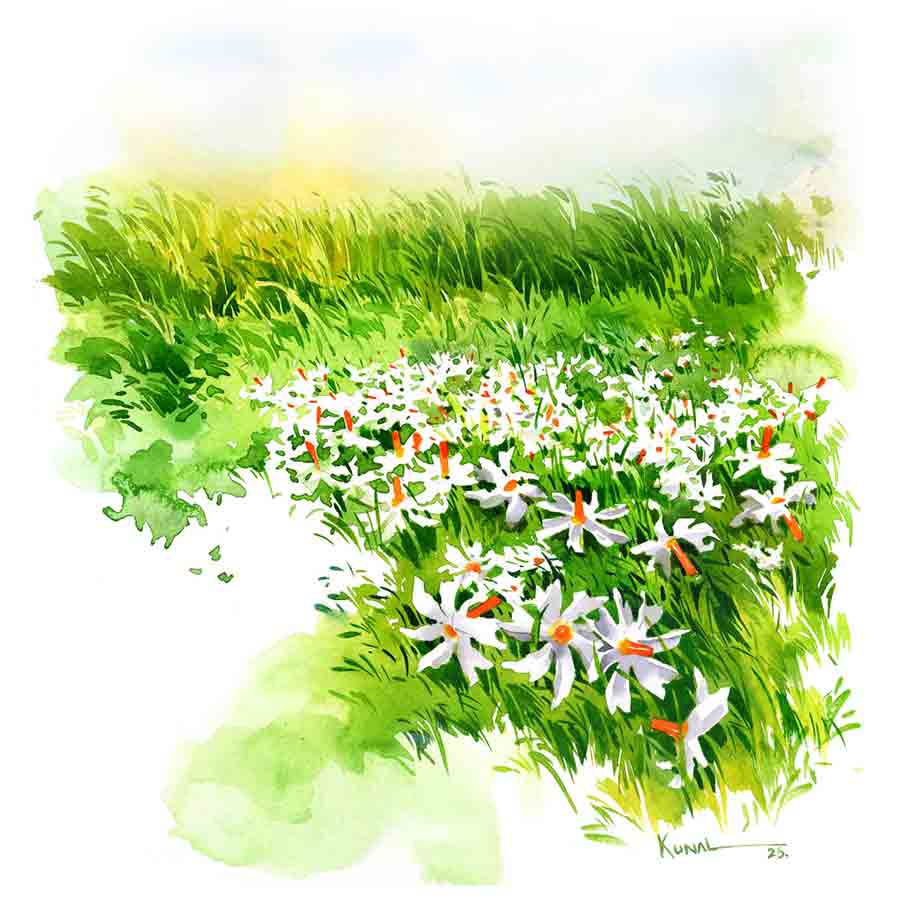 ছবি: কুনাল বর্মণ।