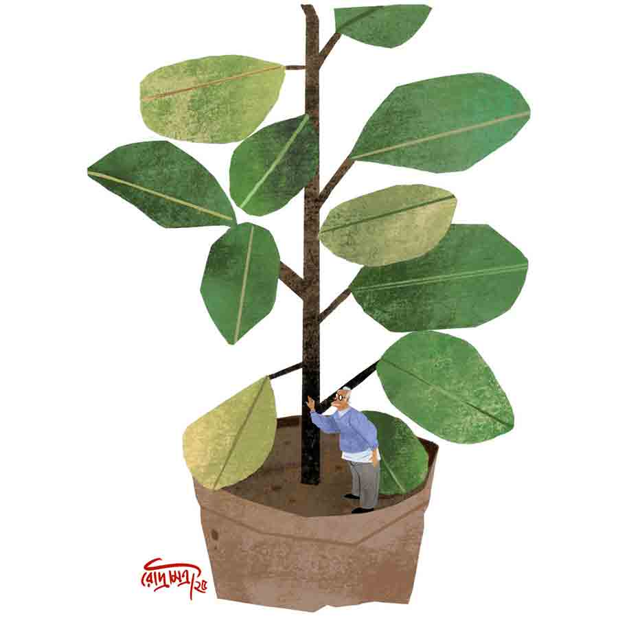 Bengali short story authored by Soma Kushari Banerjee