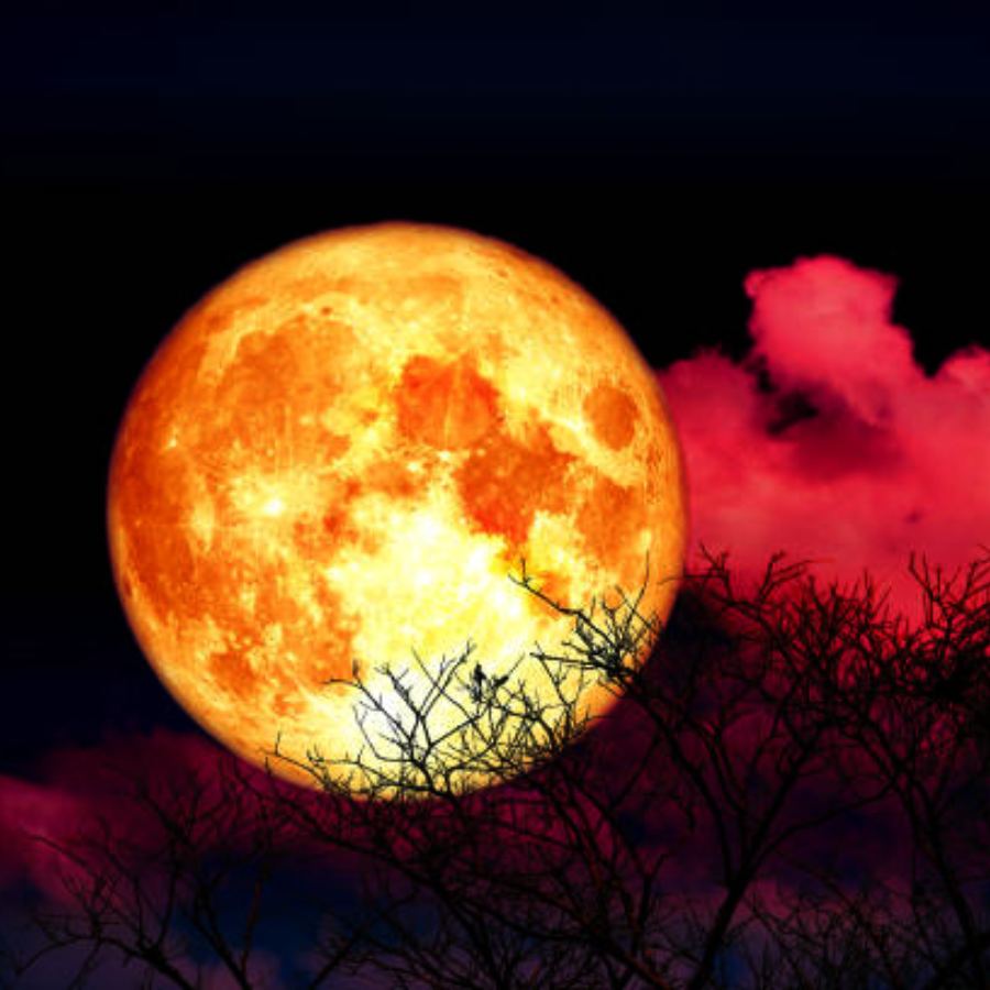 blood moon