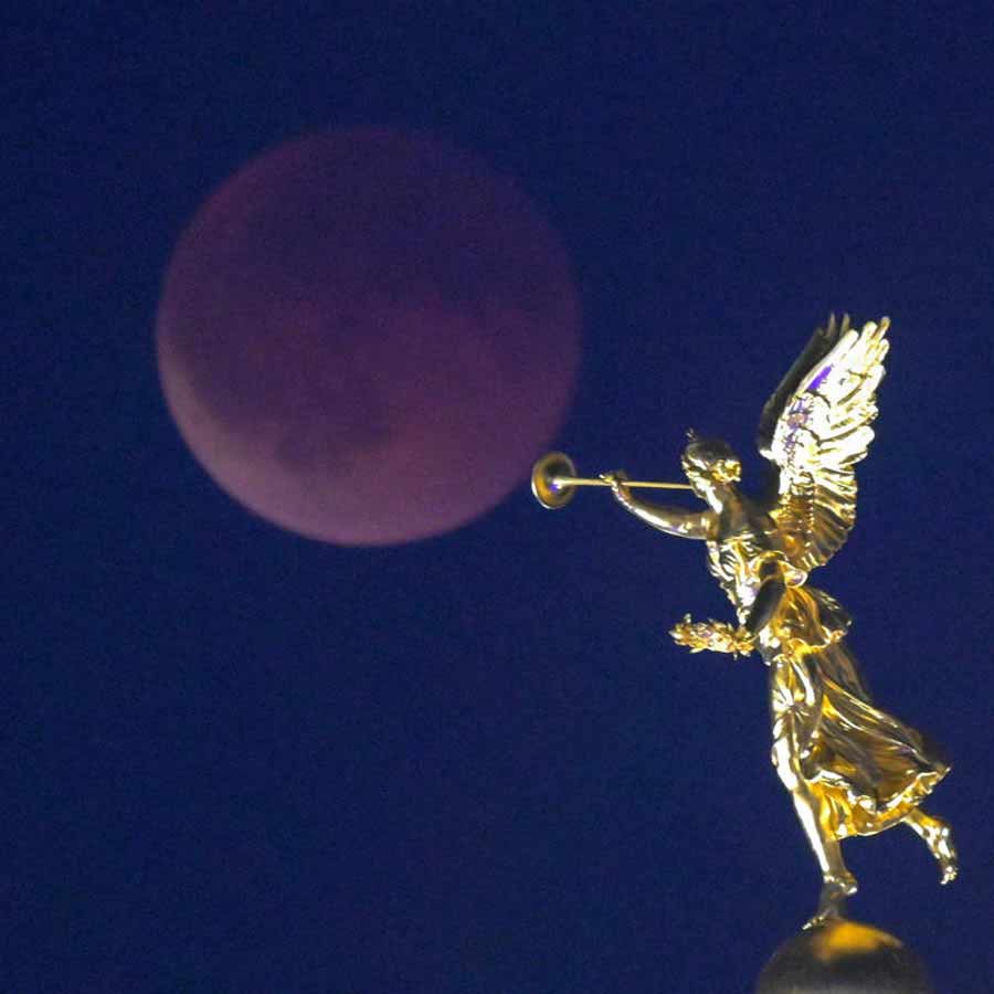 ড্রেসড্রেনেও দেখা মিলল ‘লালচাঁদ’-এর। 