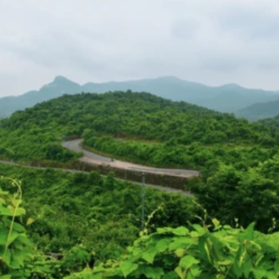 প্রতীকী চিত্র