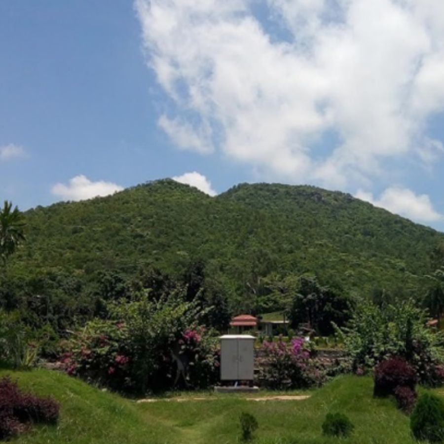 ৩. বাঁকুড়ার শুশুনিয়া পাহাড়: বাঁকুড়ার শুশুনিয়া পাহাড় তার সবুজে ঘেরা পরিবেশ এবং শান্ত আবহের জন্য পরিচিত।  শুশুনিয়া পাহাড়ের পুজো: শুশুনিয়া পাহাড়ের কাছে কিছু ছোট ছোট মন্দিরে দুর্গাপুজো হয়। এখানকার পুজোতে জাঁকজমক কম থাকলেও ভক্তি এবং আন্তরিকতা ভরপুর থাকে। যাঁরা ট্রেকিং বা রক ক্লাইমিং পছন্দ করেন, তাঁদের জন্য এটি একটি দারুণ সুযোগ।