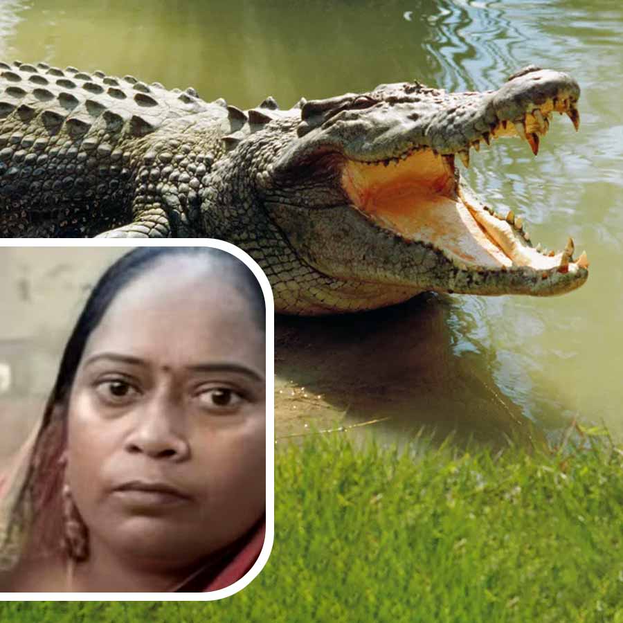 Video shows how a woman saved after getting chased by crocodile in river