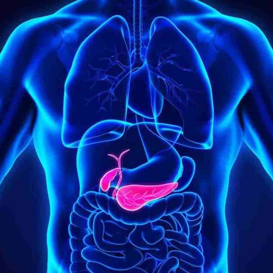 What are the early signs and symptoms of Pancreatic Cancer dgtl
