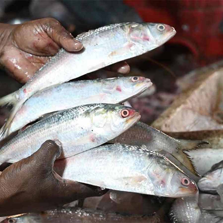 Police face protests after stopping Hilsa trucks dgtld