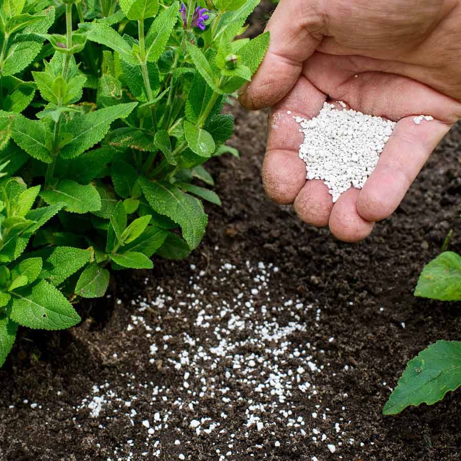 Fighting pests with biocontrol