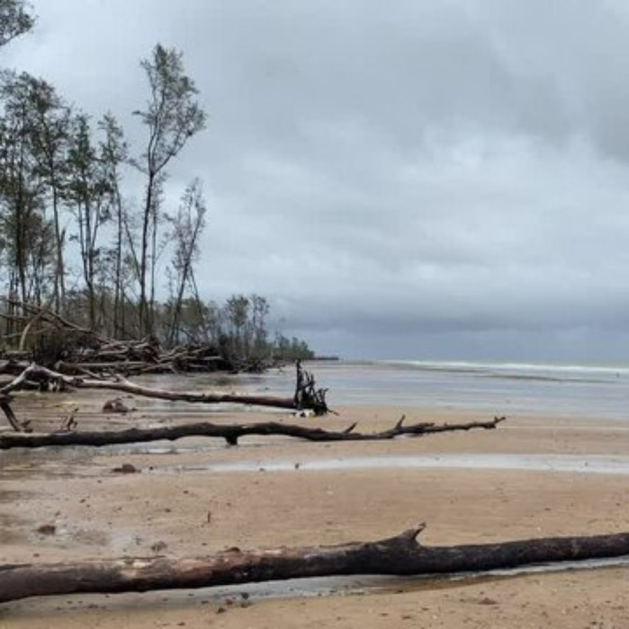 ৩. তাজপুর, পশ্চিমবঙ্গ পায়ে হেঁটে ঘুরে দেখার মতো পশ্চিমবঙ্গের একটি অফবিট জায়গার নাম হলো তাজপুর। দিঘা এবং মন্দারমনির মতো জনপ্রিয় সমুদ্র সৈকতের কাছে হলেও, তাজপুর তুলনামূলক ভাবে অনেকটাই শান্ত। এখানে সমুদ্রের ধারে লাল কাঁকড়ার আনাগোনা দেখা যায়, যা এক অন্যরকম অভিজ্ঞতা। এ ছাড়া, ঝাউবনের মধ্য দিয়ে হেঁটে যেতেও খুব ভালো লাগে।