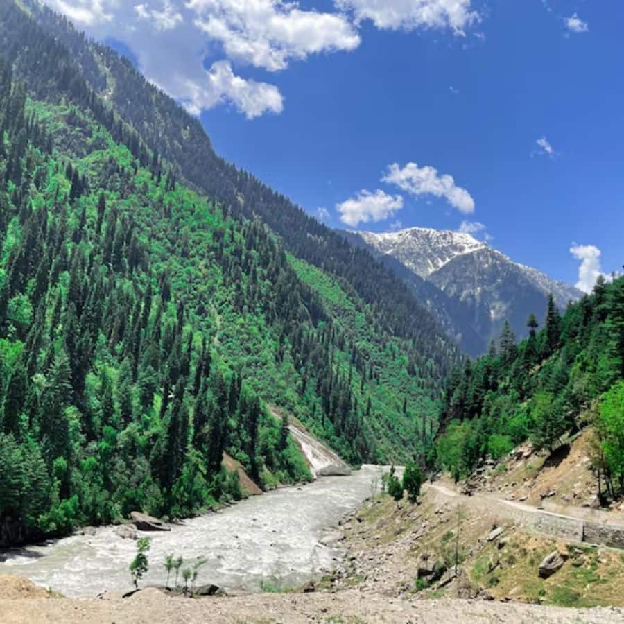 ৫. জাওয়াল, হিমাচল প্রদেশ জাওয়াল শিমলা থেকে মাত্র কয়েক কিলোমিটার দূরে অবস্থিত একটি ছোট্ট গ্রাম। এখানকার প্রাকৃতিক সৌন্দর্য আপনাকে মুগ্ধ করবে। যাঁরা শান্ত পরিবেশ এবং ট্রেকিং পছন্দ করেন, তাঁদের জন্য এটি একটি দারুণ জায়গা।