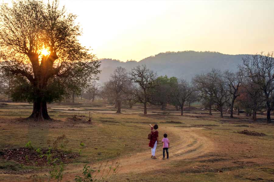 পাহাড়-অরণ্যের অদ্ভুত মিশেল রয়েছে বাংরিপোসিতে।