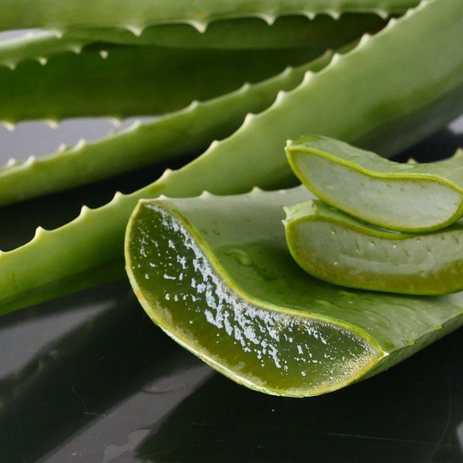 উৎসবের দিনগুলোয় ভোর থেকে রাত পর্যন্ত দৌড়ঝাঁপ চলবেই। তবে চোখের কালি যাতে সাজে বাধা না হয়ে দাঁড়ায়, তার জন্য এই টিপ্‌সই ভরসা। মুখে ময়শ্চারাইজার বা অ্যালোভেরা জেল ব্যবহার করলে ত্বকও পাবে বাড়তি যত্ন।   (এই প্রতিবেদনটি ‘আনন্দ উৎসব’ ফিচারের একটি অংশ)। 