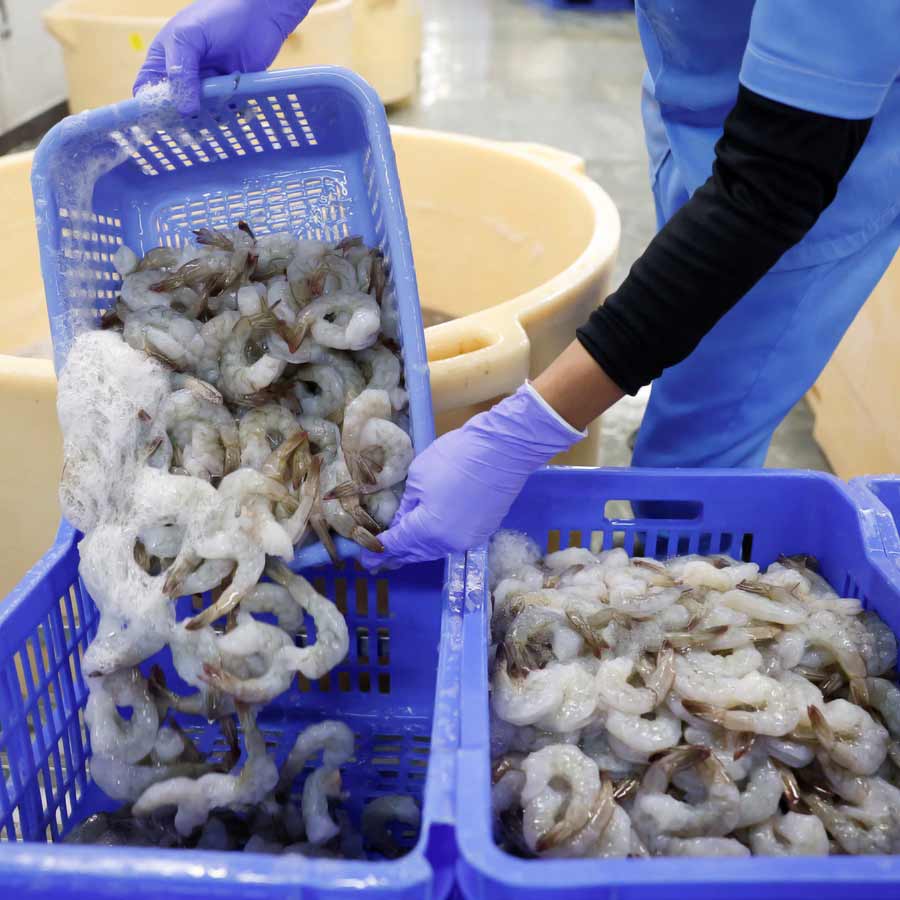 All need to know about How Seafood exporters affected due to America’s Tariff