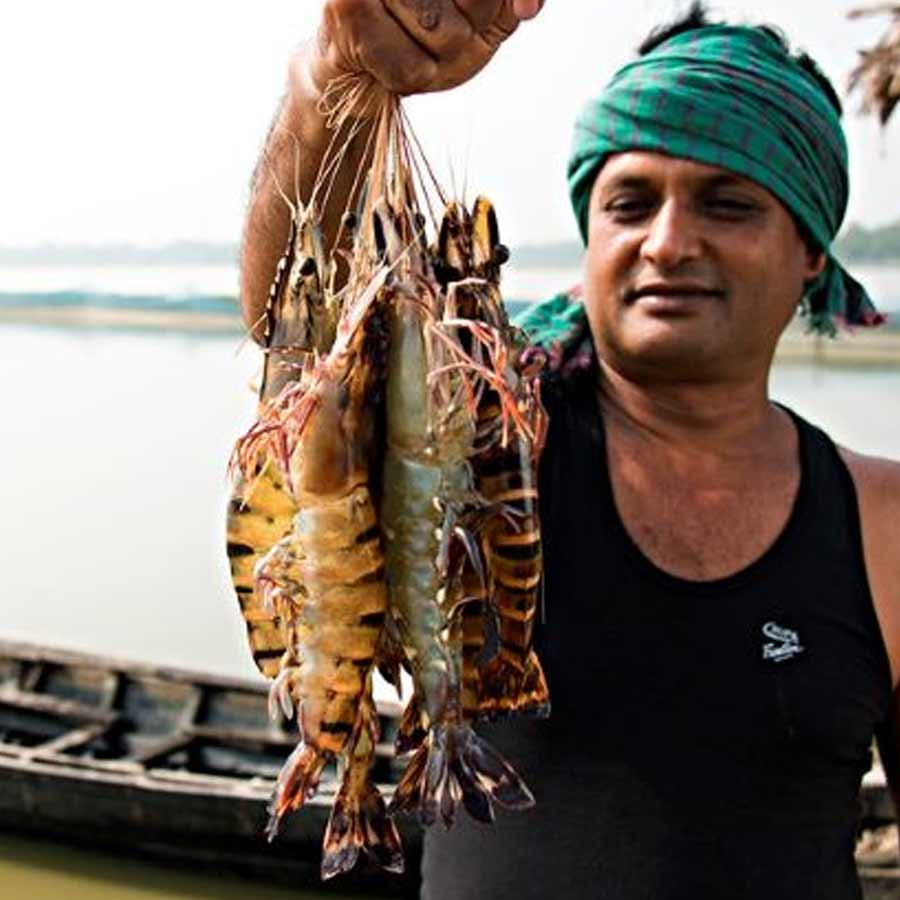 All need to know about How Seafood exporters affected due to America’s Tariff