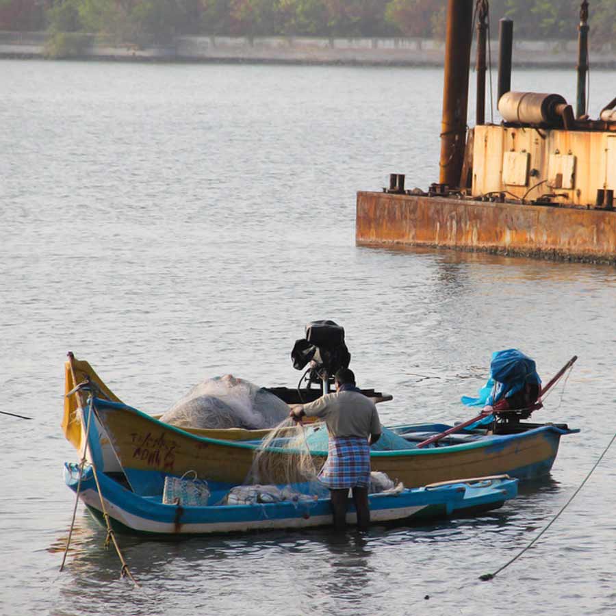 All need to know about How Seafood exporters affected due to America’s Tariff