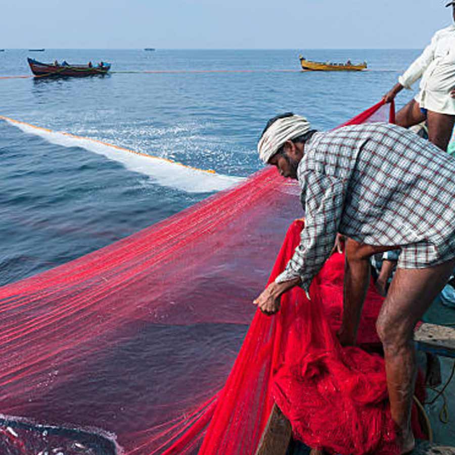 All need to know about How Seafood exporters affected due to America’s Tariff