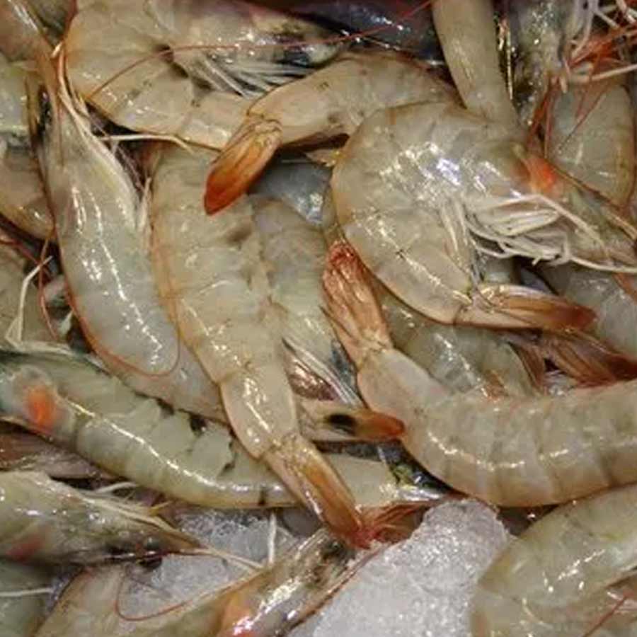 All need to know about How Seafood exporters affected due to America’s Tariff