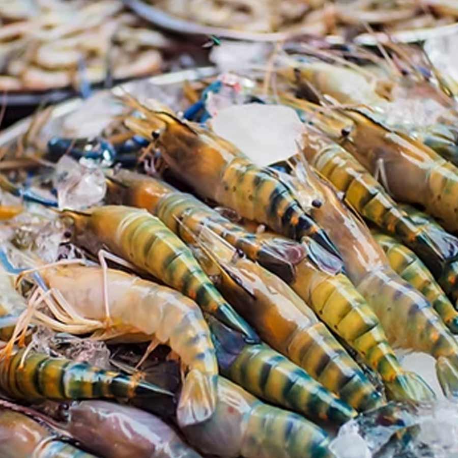 All need to know about How Seafood exporters affected due to America’s Tariff