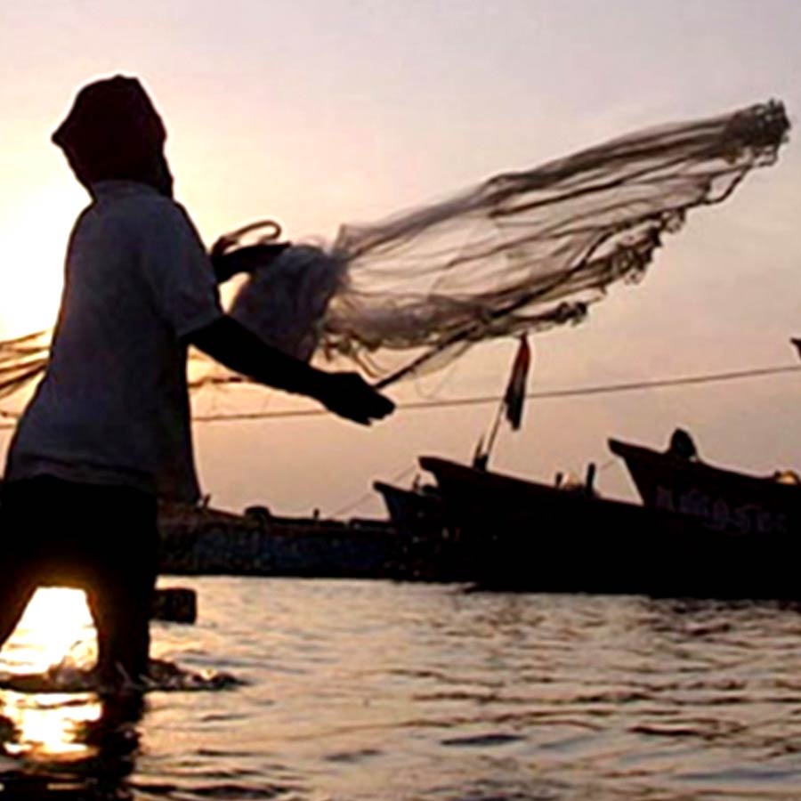 All need to know about How Seafood exporters affected due to America’s Tariff