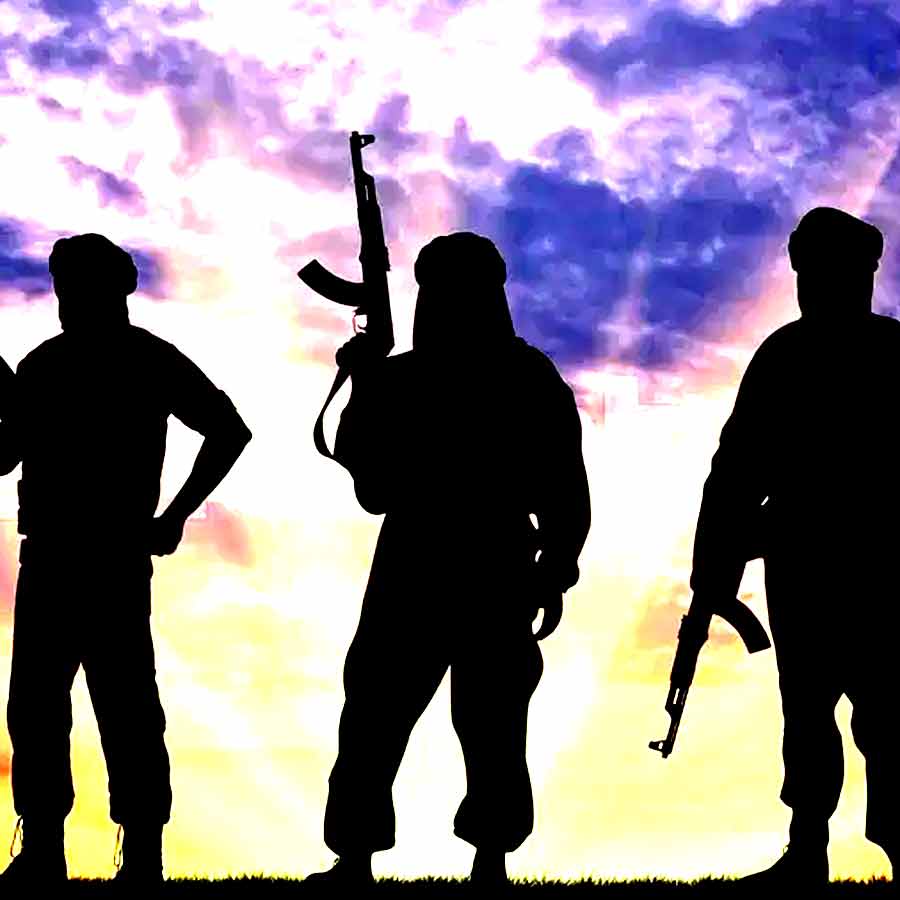 Pakistan claimed that 17 terrorists, 'India's pets', were killed