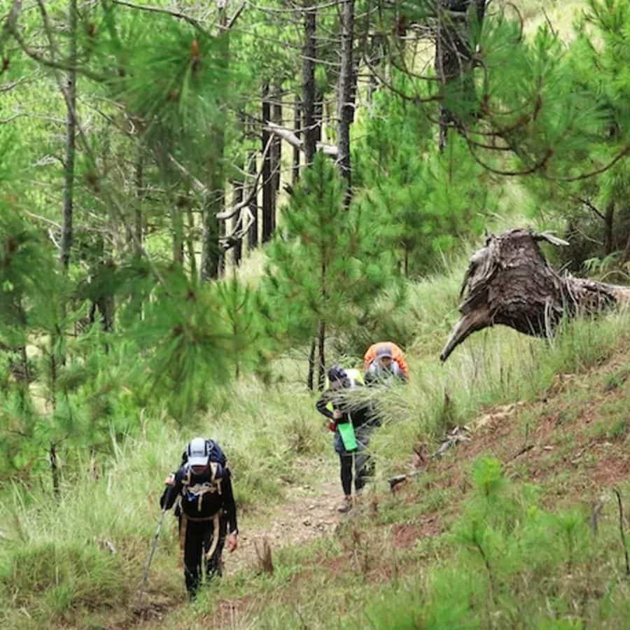 কী কী করবেন? প্রকৃতির মাঝে: আউশগ্রামের আদিবাসী গ্রামগুলির পাশ দিয়ে হেঁটে গেলে প্রকৃতির নির্মল স্বাদ পাওয়া যায়। জঙ্গলের মধ্যে হেঁটে গেলে পাখিদের কিচিরমিচির আর শান্ত পরিবেশ আপনাকে মুগ্ধ করবে।